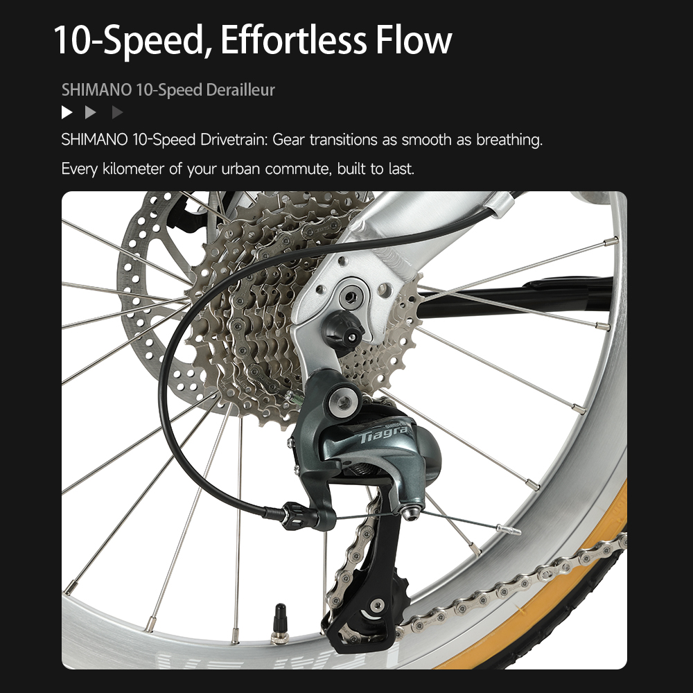 Bicicleta Plegable de Cuero Ma - Commuting With Bike reseña y precio
